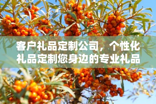 客户礼品定制公司，个性化礼品定制您身边的专业礼品定制公司